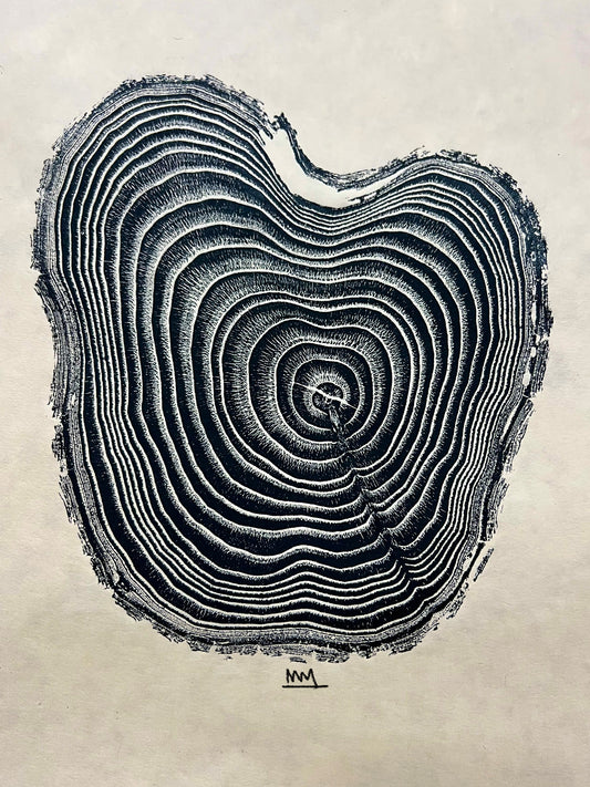 Chinese Chestnut #1 Tree Print