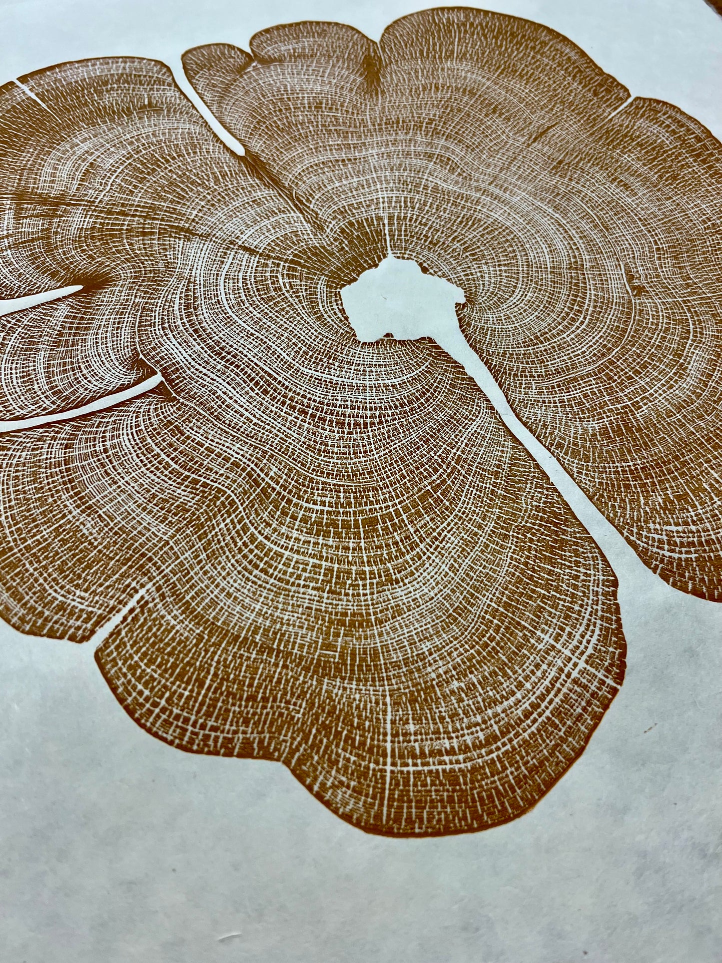 Gold Eastern Red Cedar Tree Print
