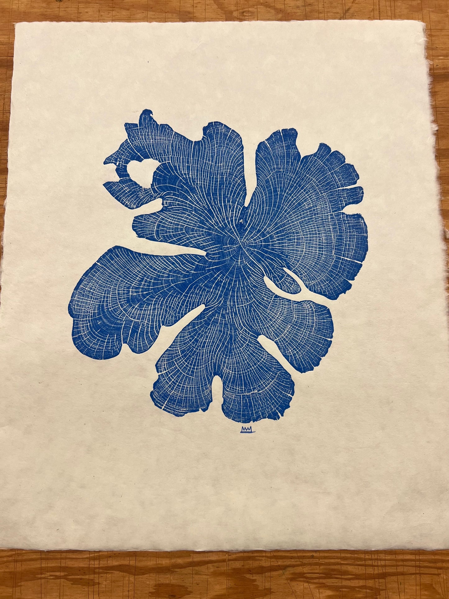 Ashe Juniper No. 1 Tree Print