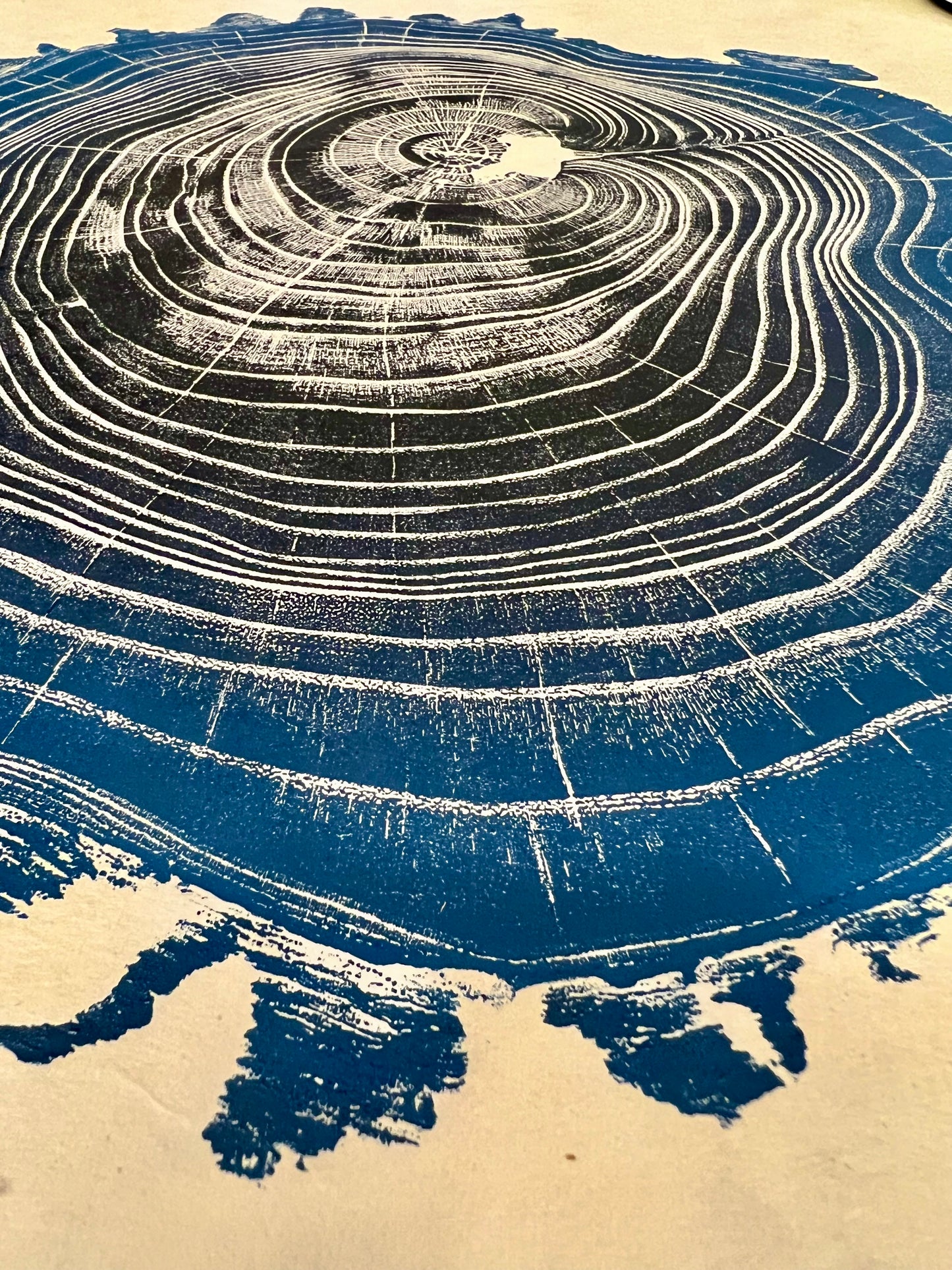 Black Locust # 64.5 Tree Print
