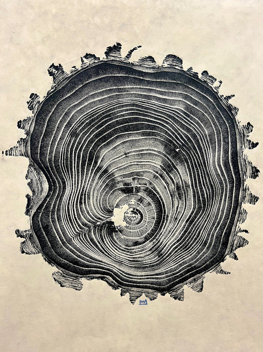 Black Locust #64 Tree Print