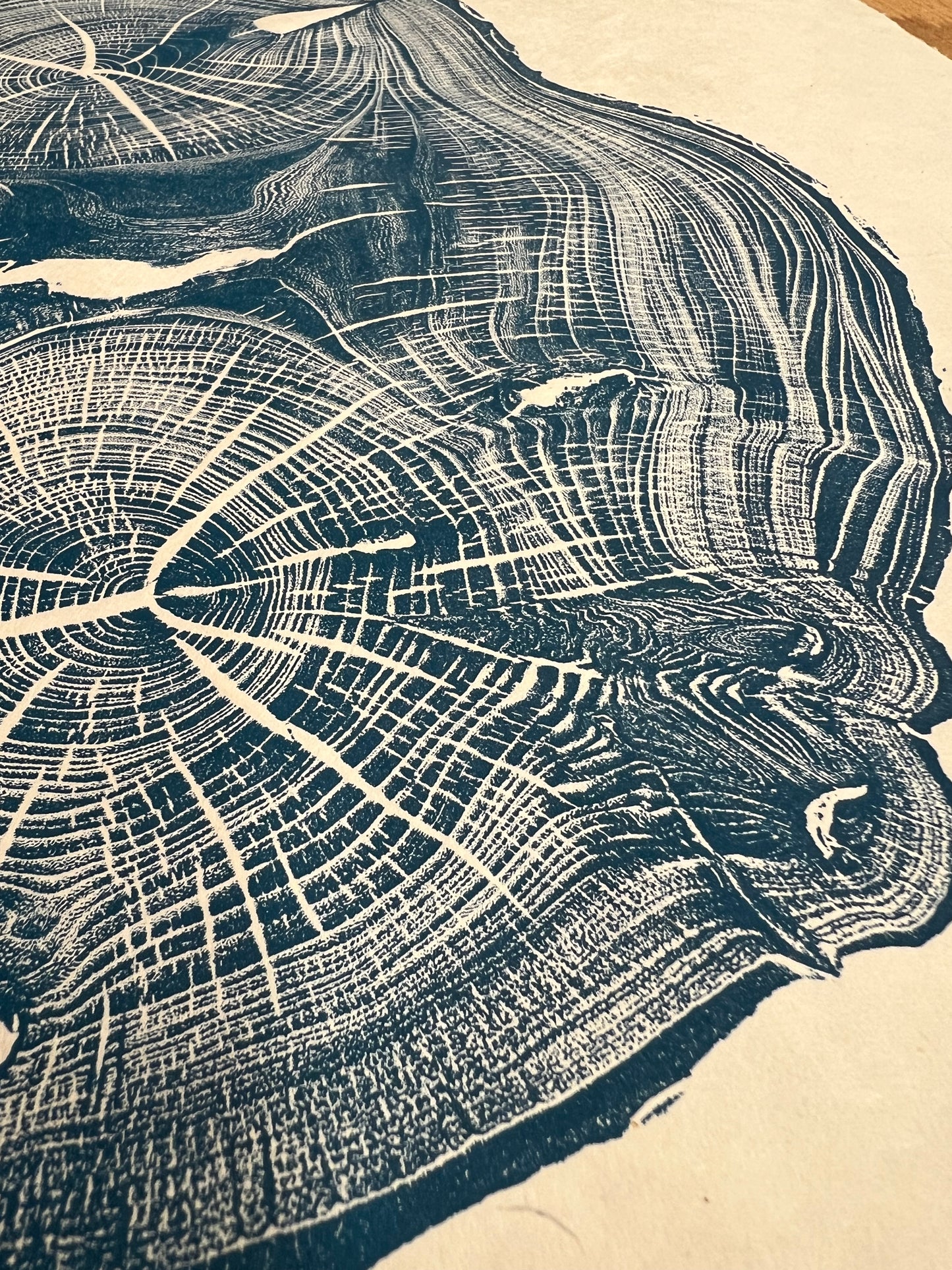 “Screaming Elm” Tree Print