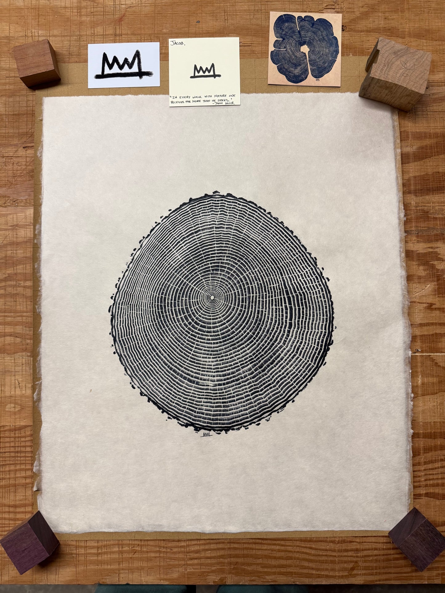 “Green Ash from Maine” tree print