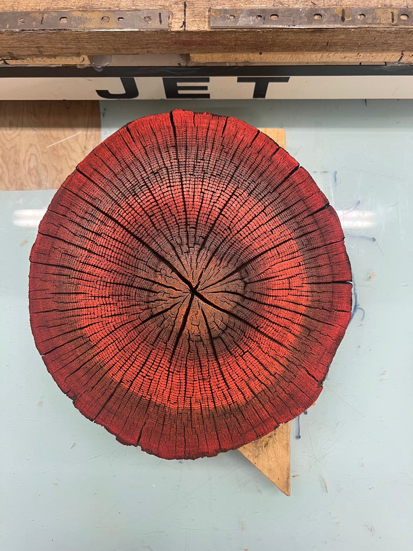 Lava 1 oak tree print
