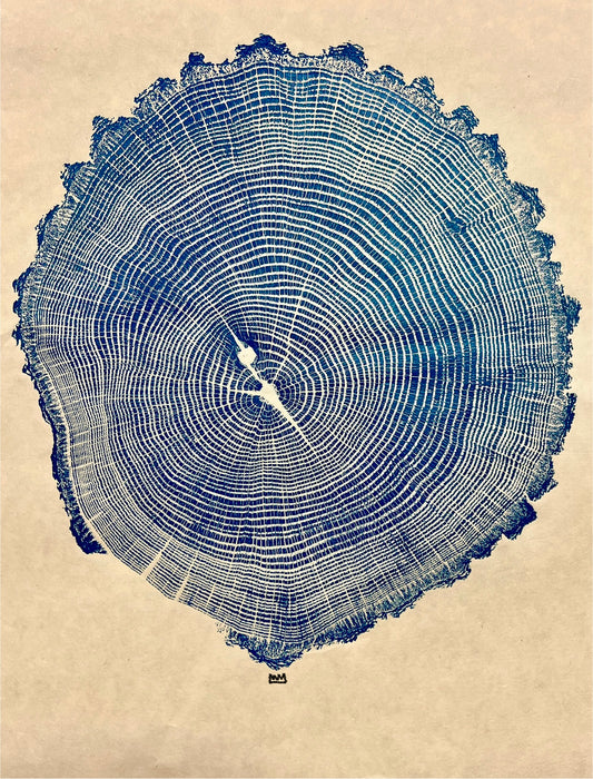 “Seashell” Cherry Bark Oak Tree Print #5