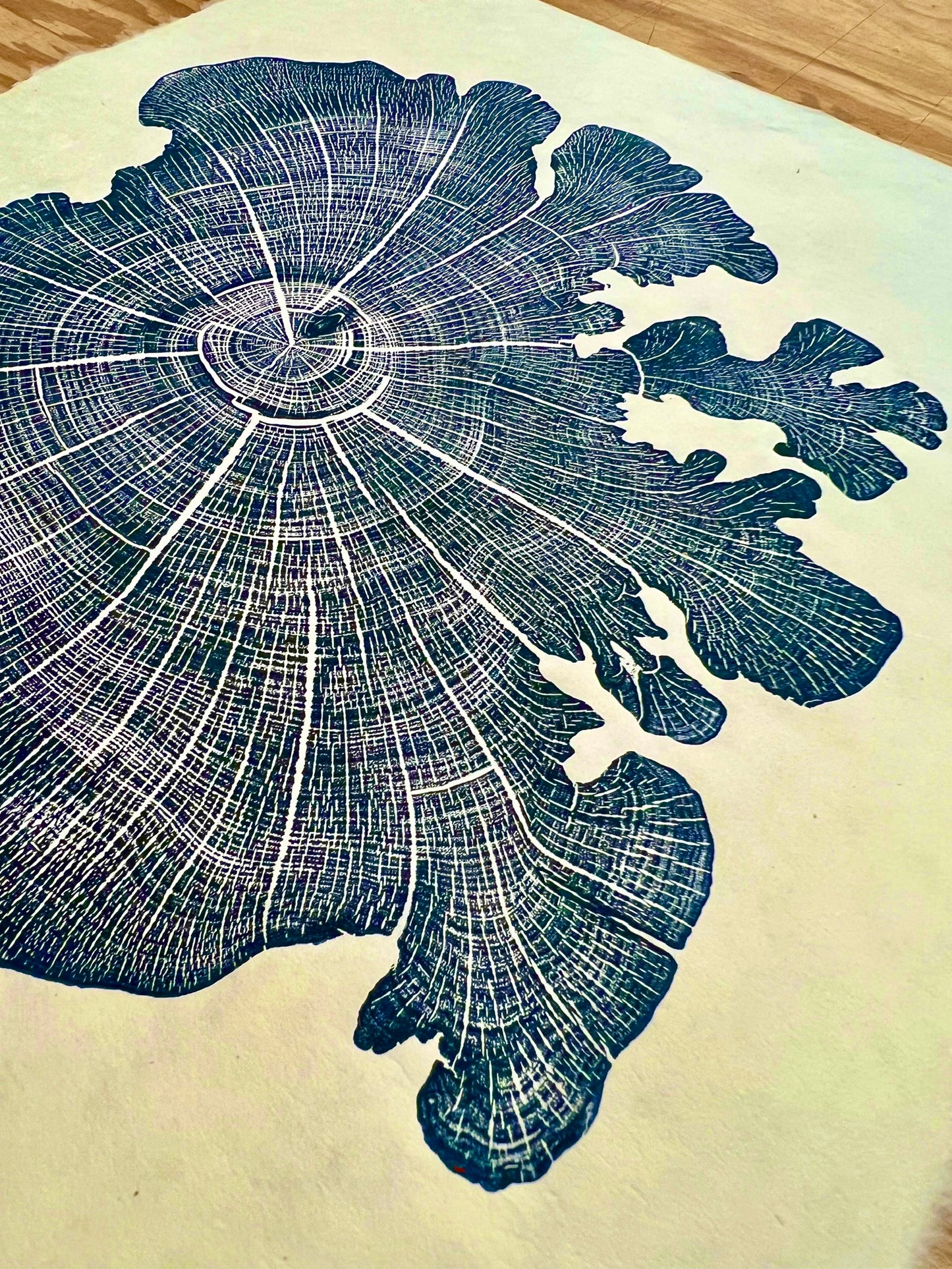 “Dendrite” Eastern Red Cedar Tree Print