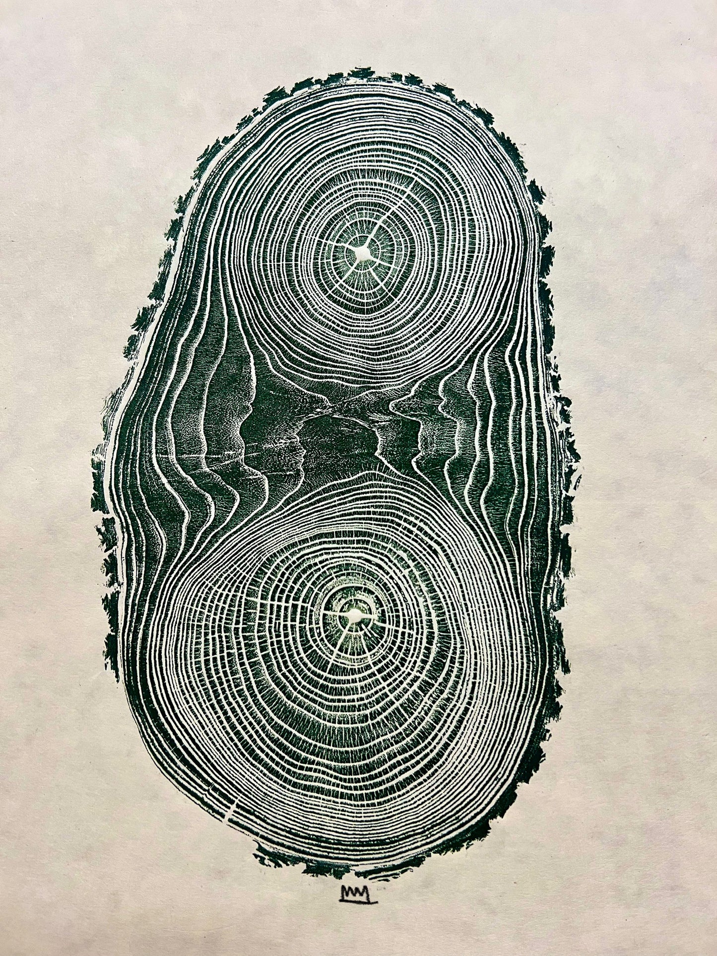 Chinaberry #2 Tree Print