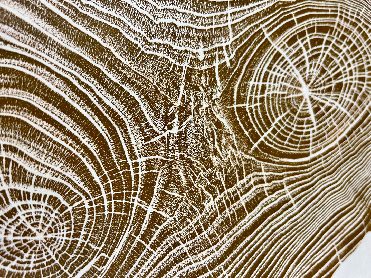 Burnt Orange Chestnut Tree Print