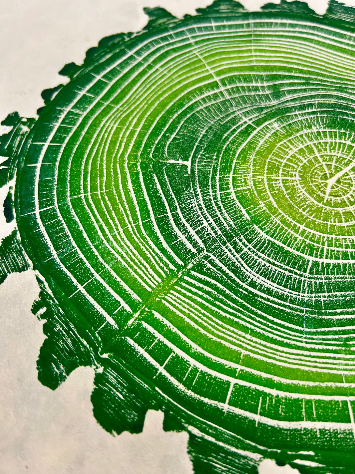 Black Locust 22.5 Tree Print