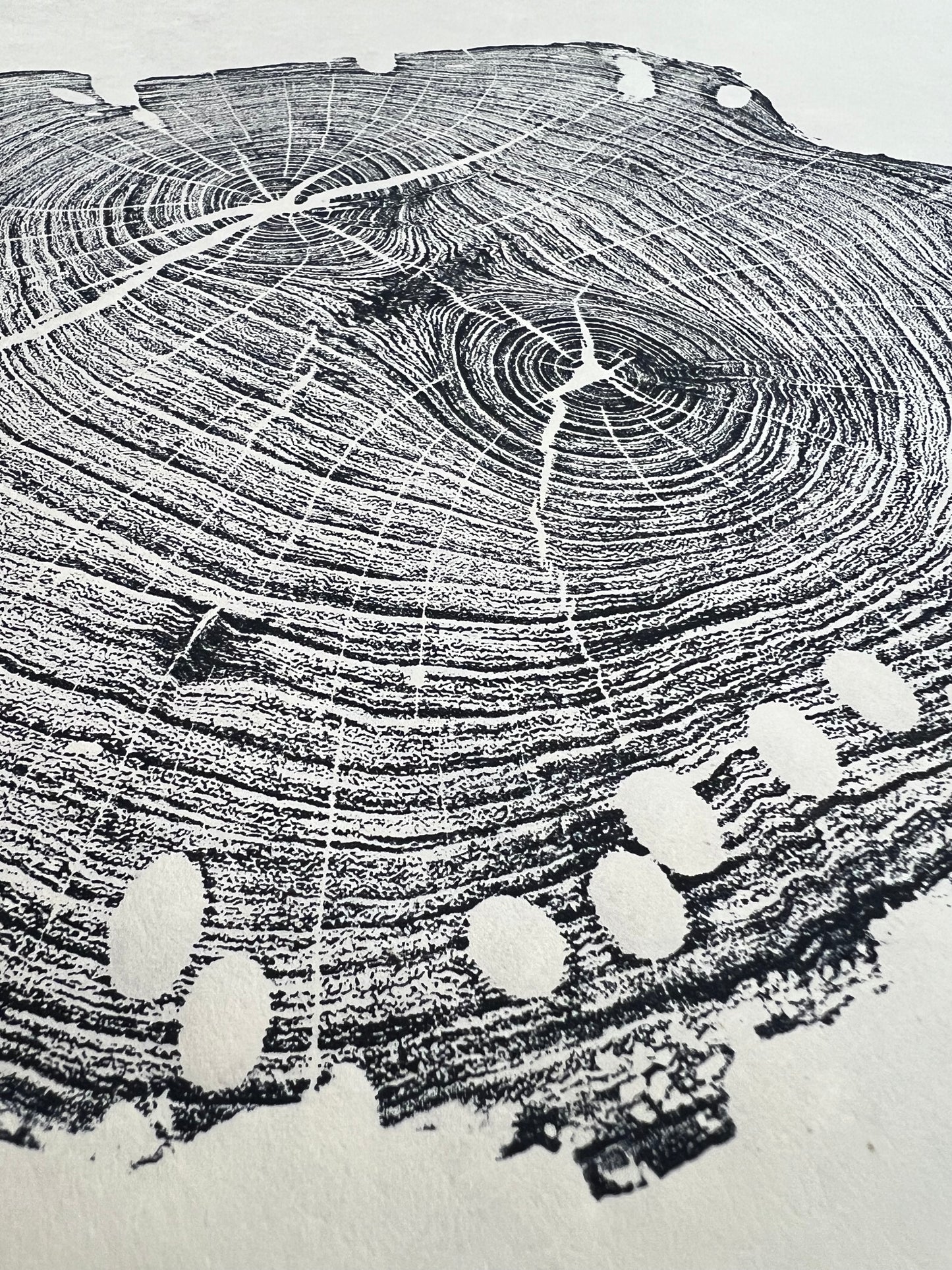 Honey Mesquite No. 2 Tree Print