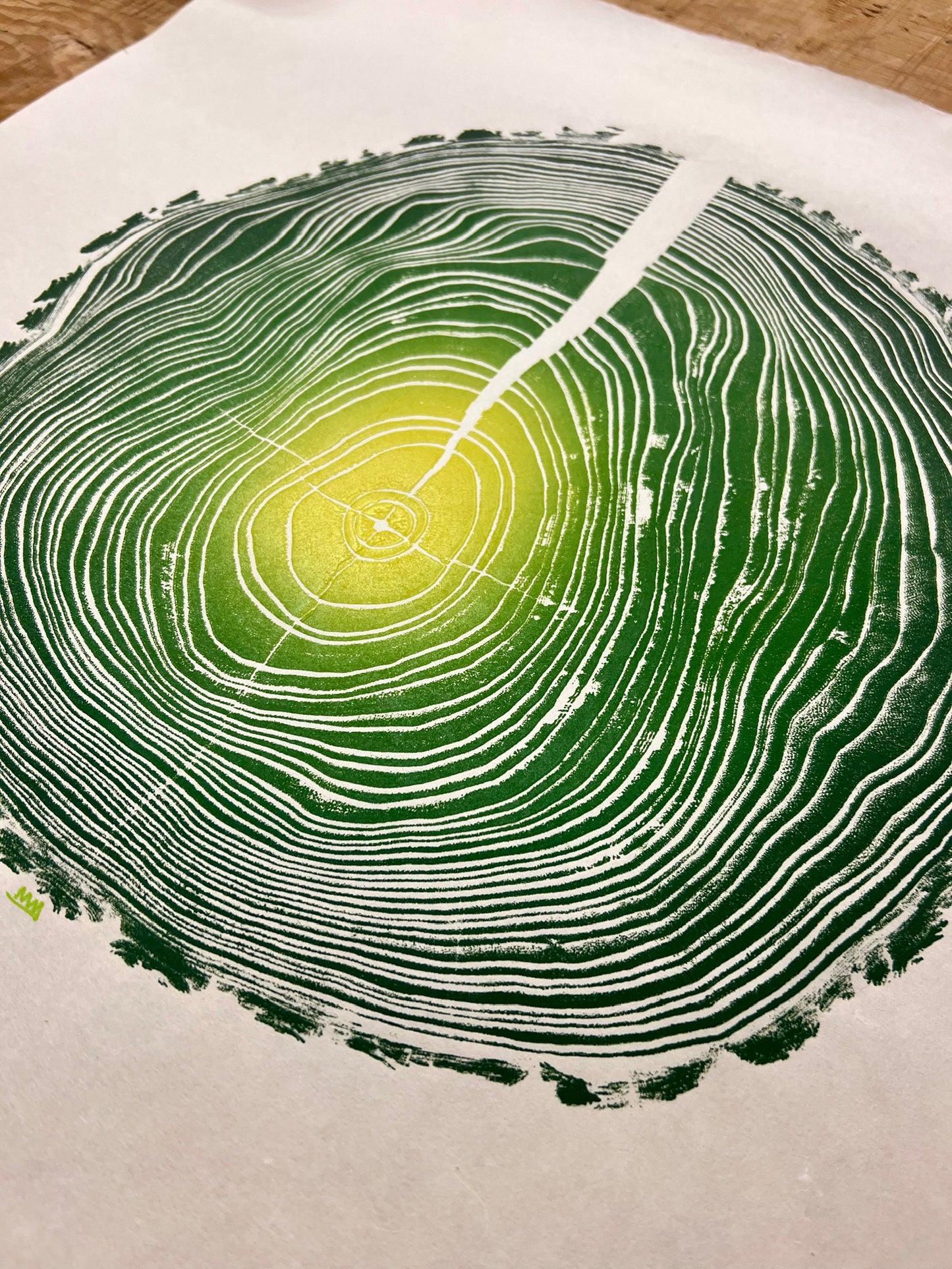 Chinaberry No. 5 Tree Print