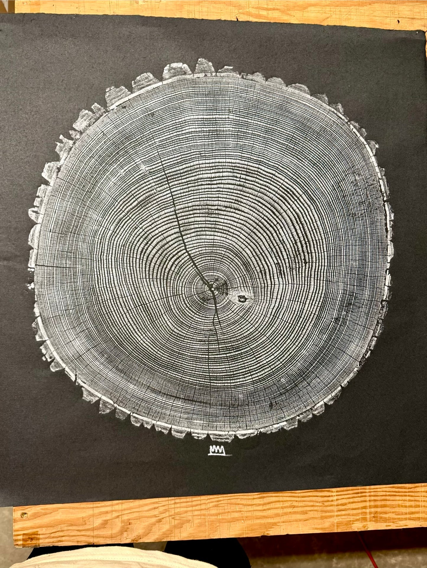 Green Ash #3 Tree Print