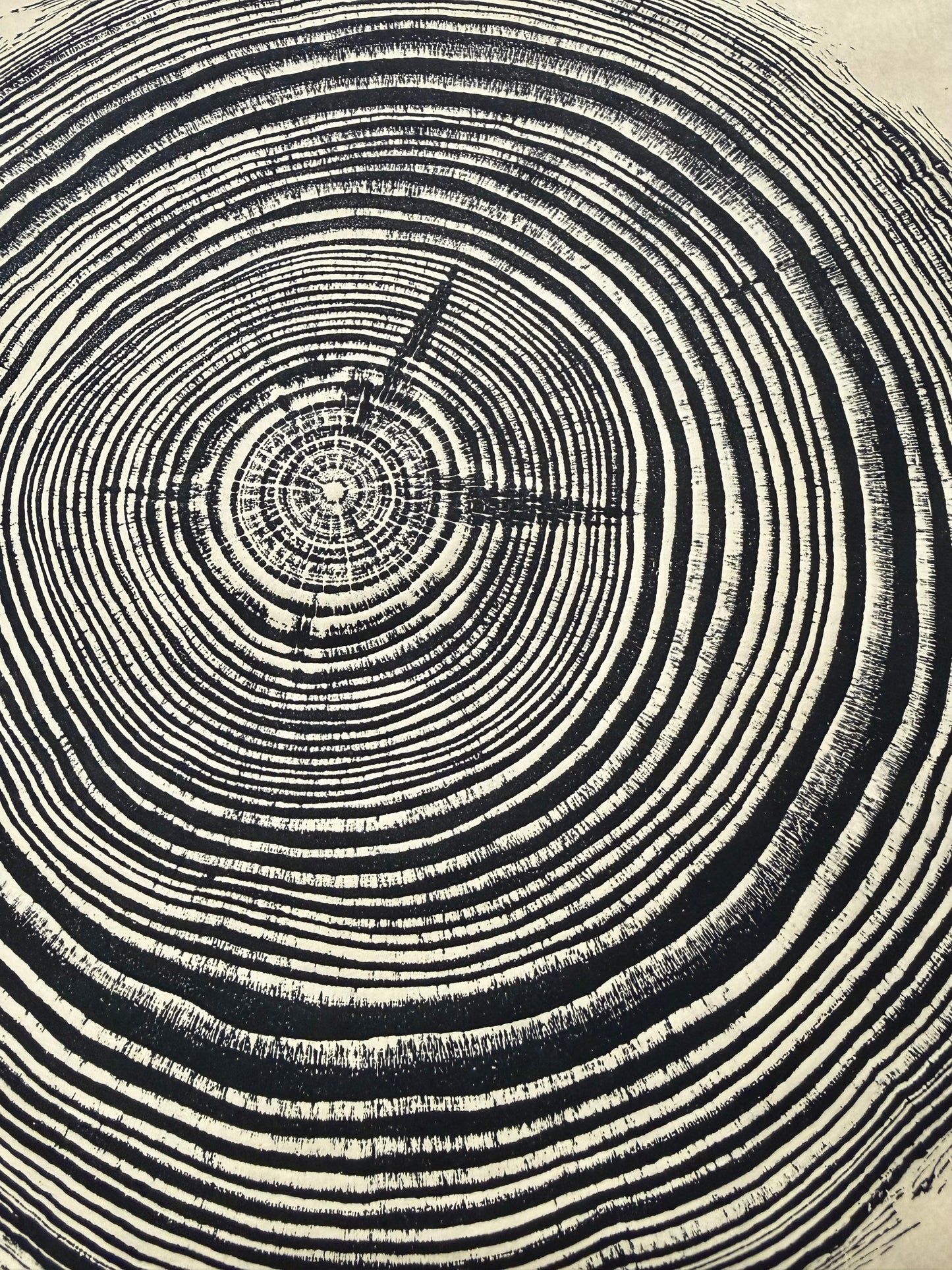 “Southern Yellow Pine #17” Tree Print