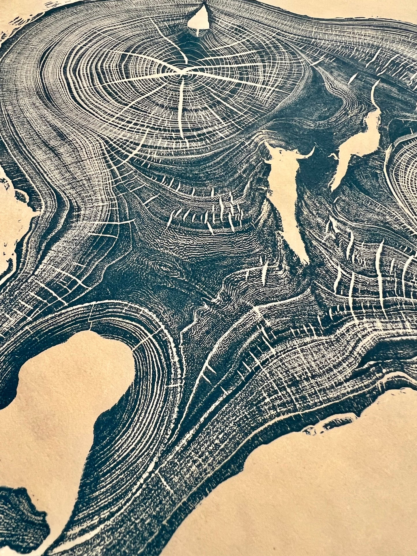 “Screaming Elm” Tree Print