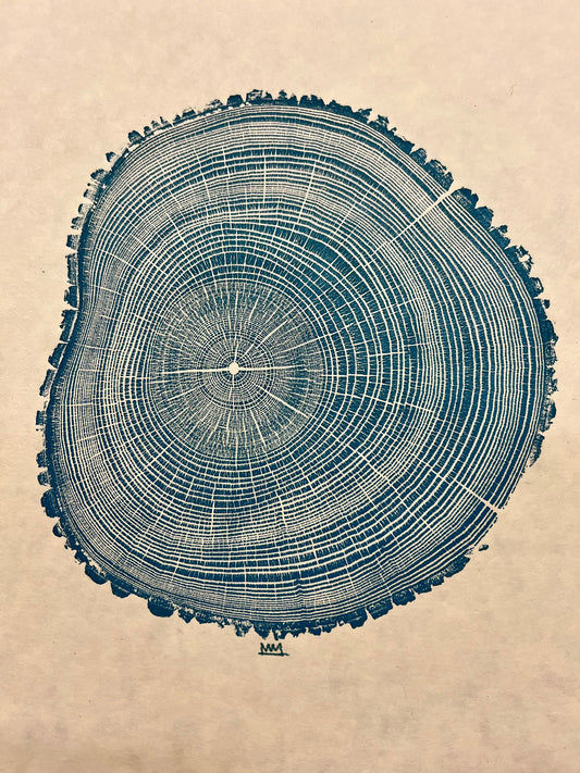 White Ash No. 14 Tree Print