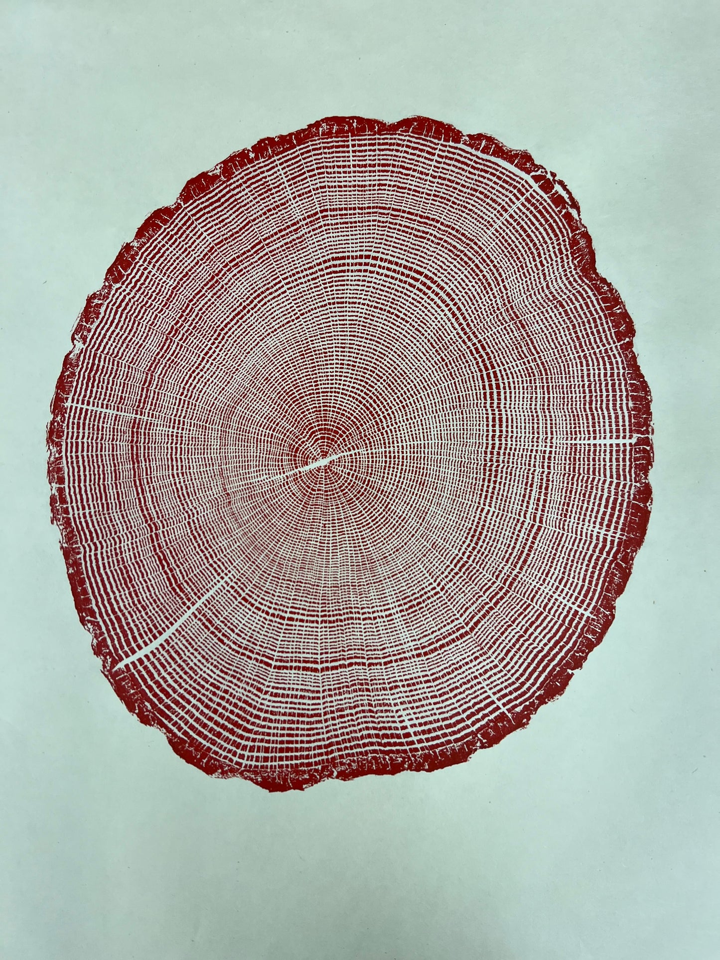 Mountain Red Oak Tree Print Whiteside Mountain