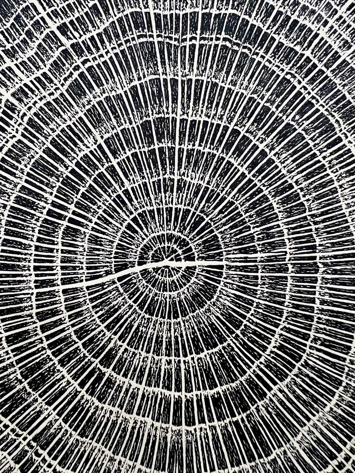 Sawtooth Oak #1 Tree Print