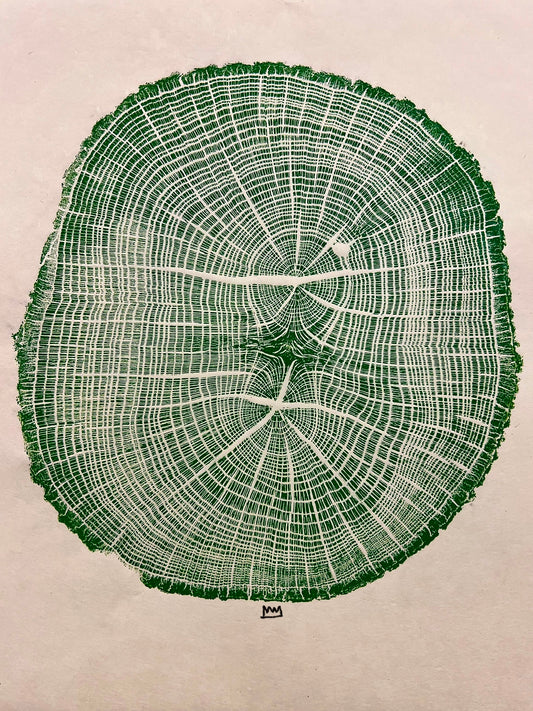 Day 8 Swamp Oak Tree Print