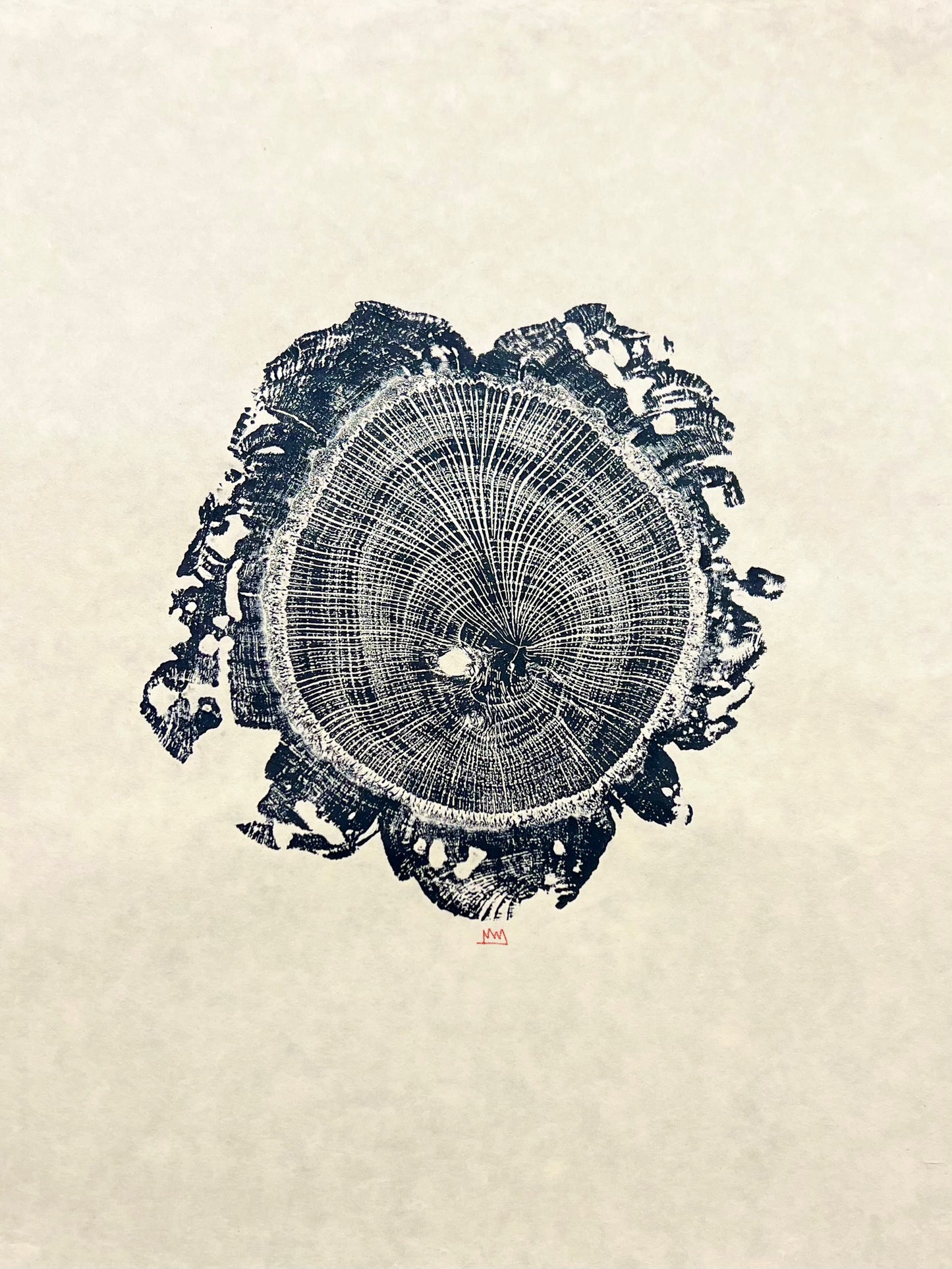 Cork Oak Tree Print