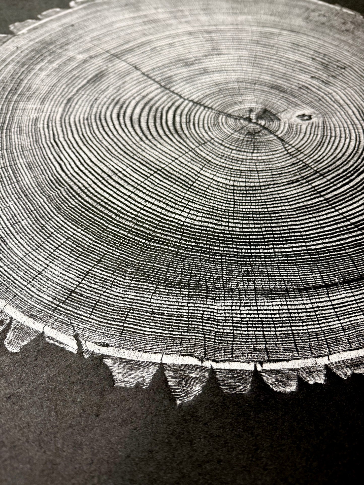 Green Ash #3 Tree Print