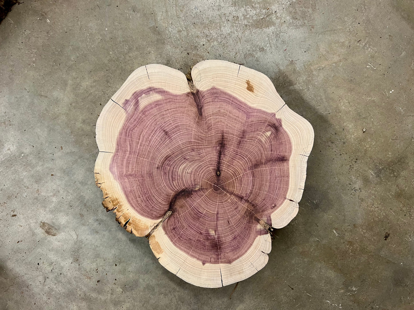 Day 17 “Fade into Form” ERC Tree Print
