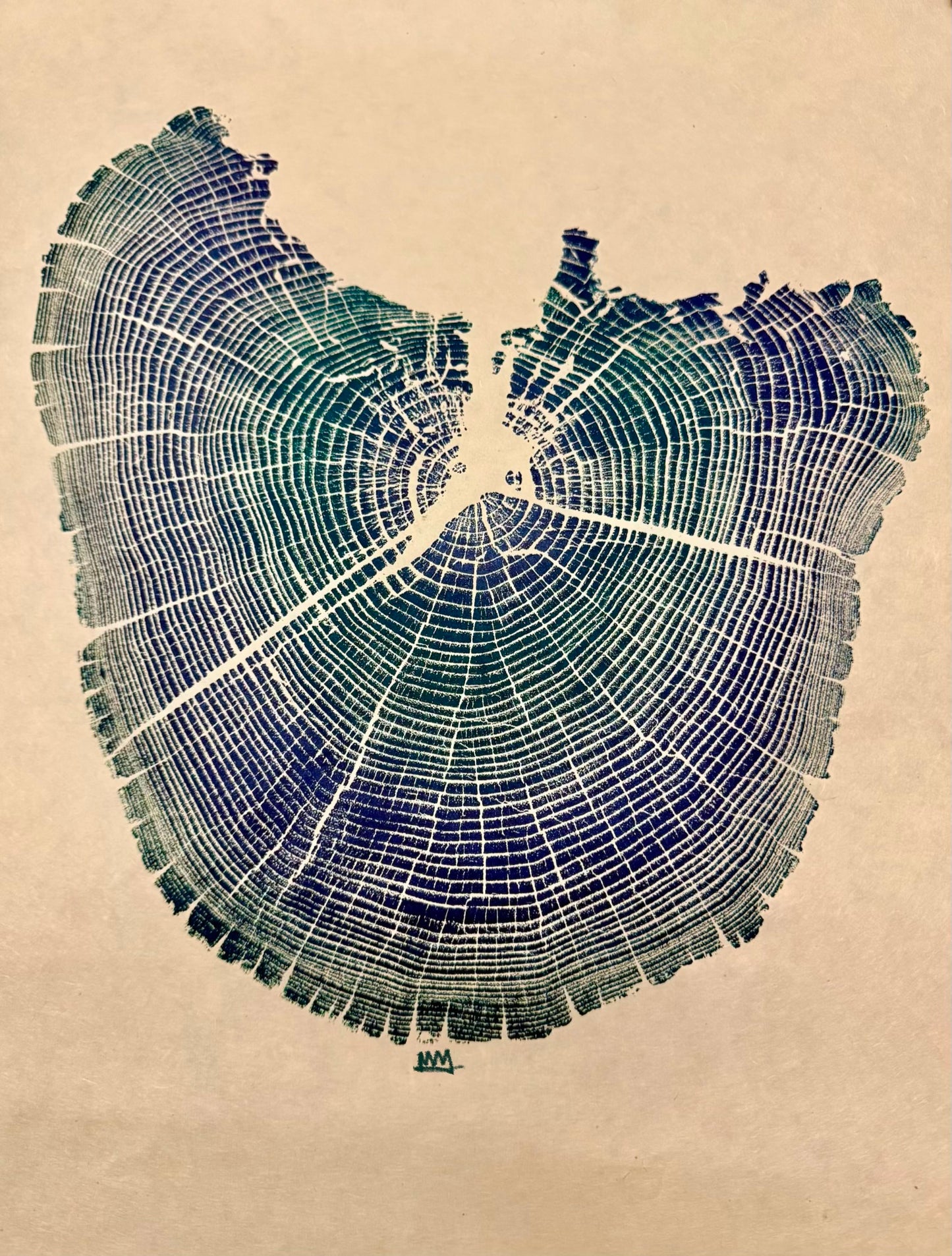Day 9 “Elemental Forces” Black Locust Tree Print (3 exist)