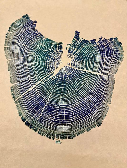 Day 9 “Elemental Forces” Black Locust Tree Print (3 exist)