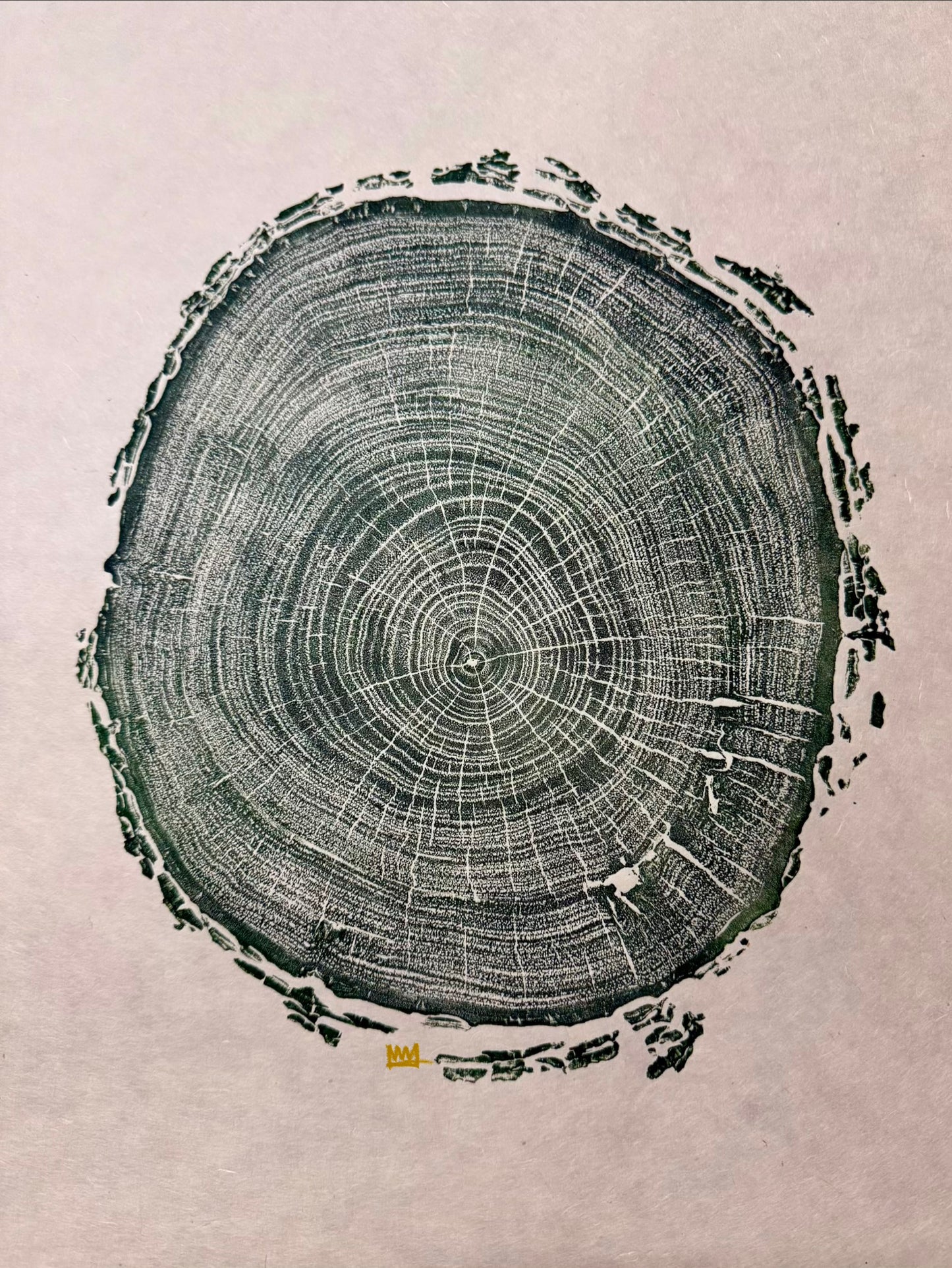 Day 8 “Bitter Green Pecan” Tree Print (only 3 exist)