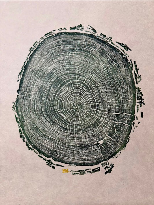 Day 8 “Bitter Green Pecan” Tree Print (only 3 exist)