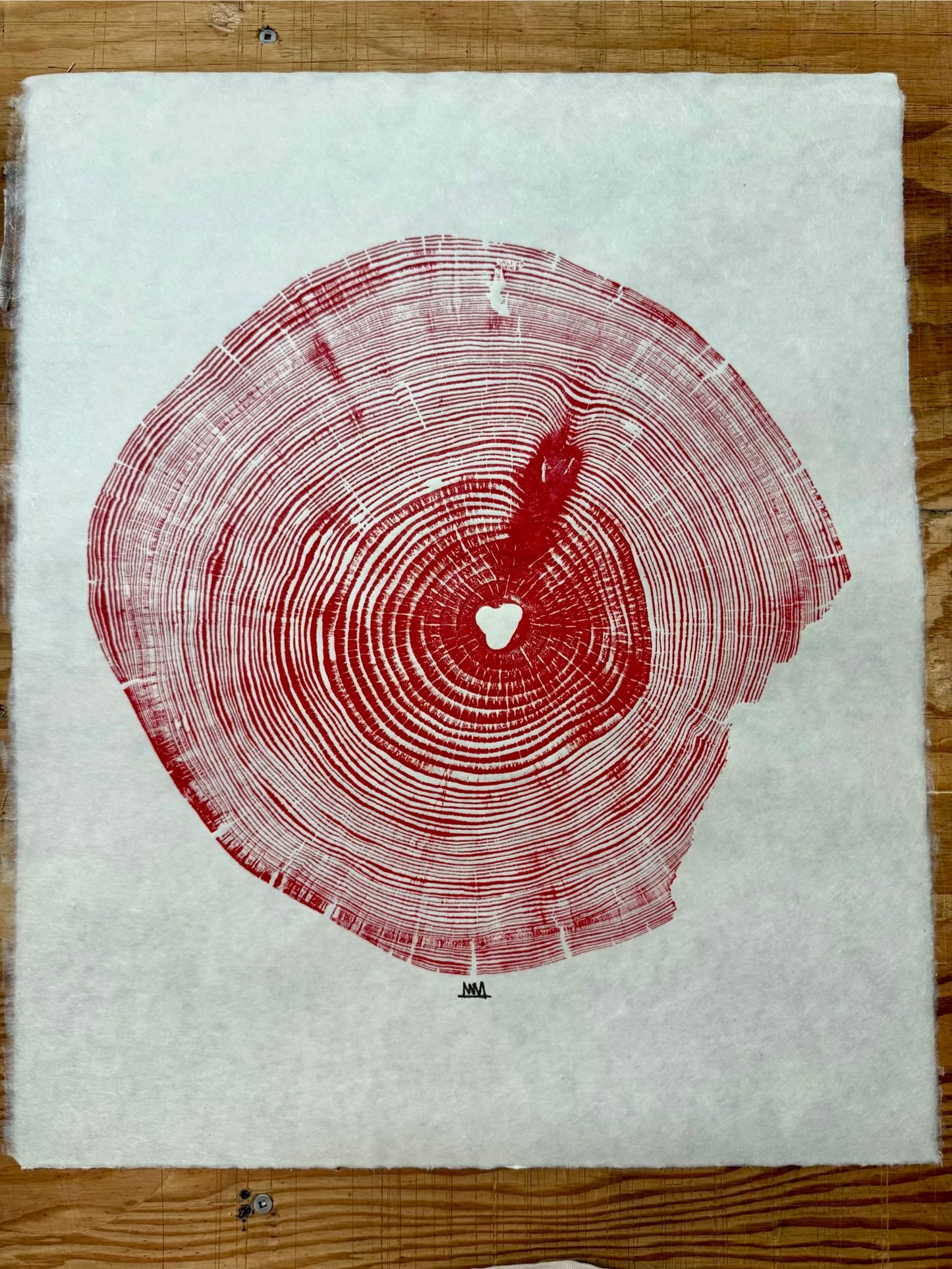 Southern Yellow Pine # 19 Tree Print