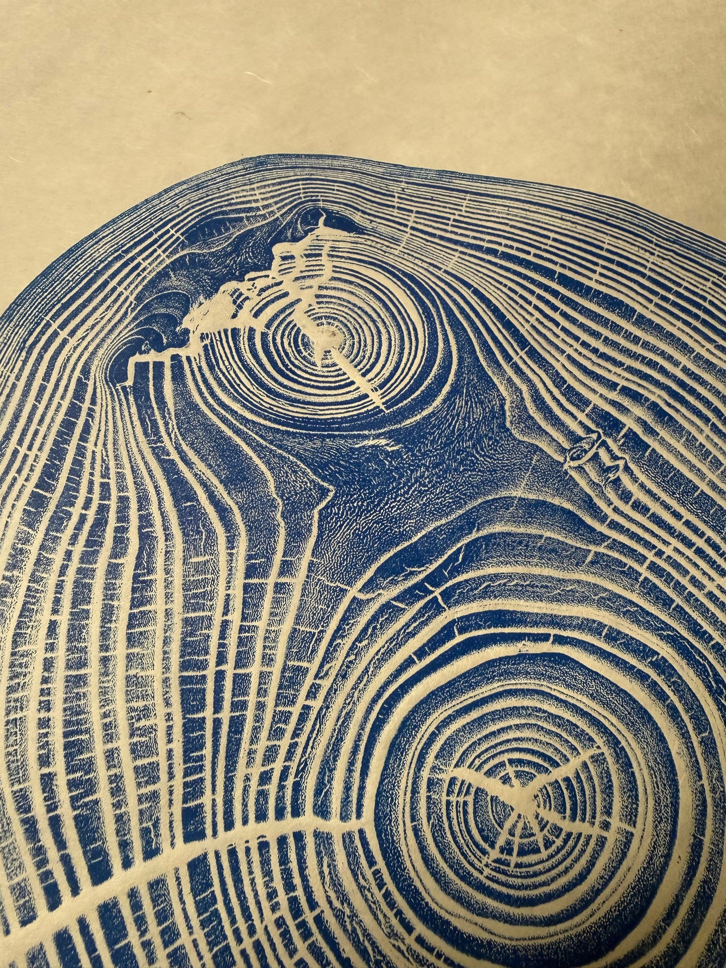 American Elm Tree Print from Wyoming