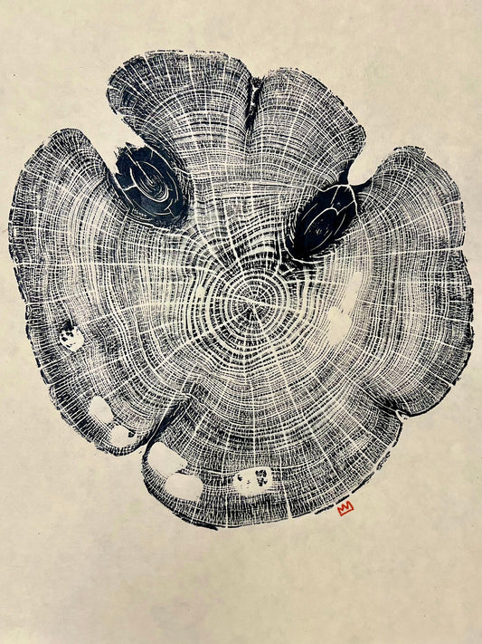 Day 12 Eastern Red Cedar Print