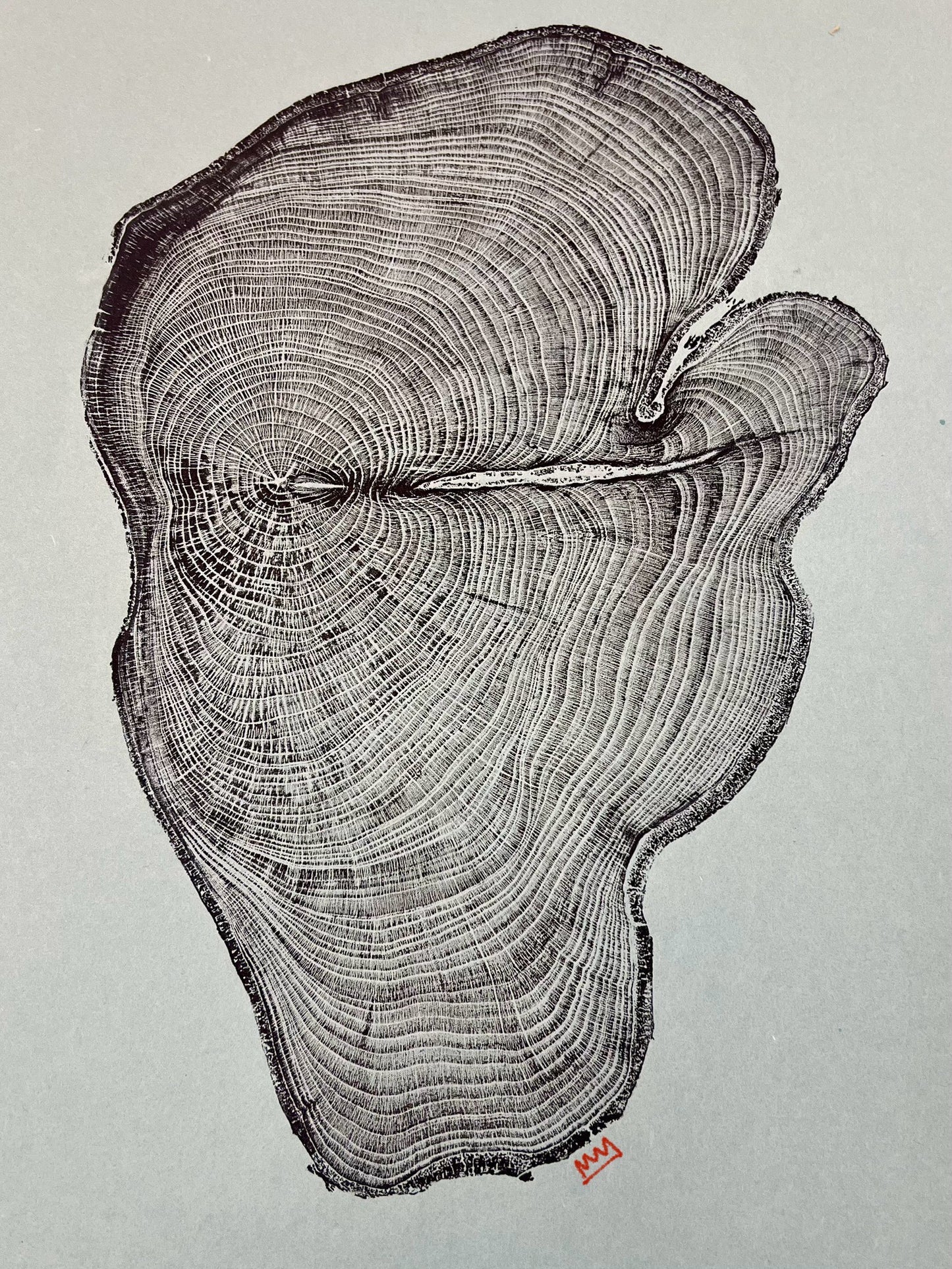 Day 15 Hackberry
