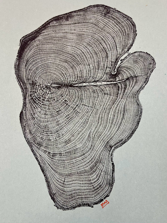 Day 15 Hackberry