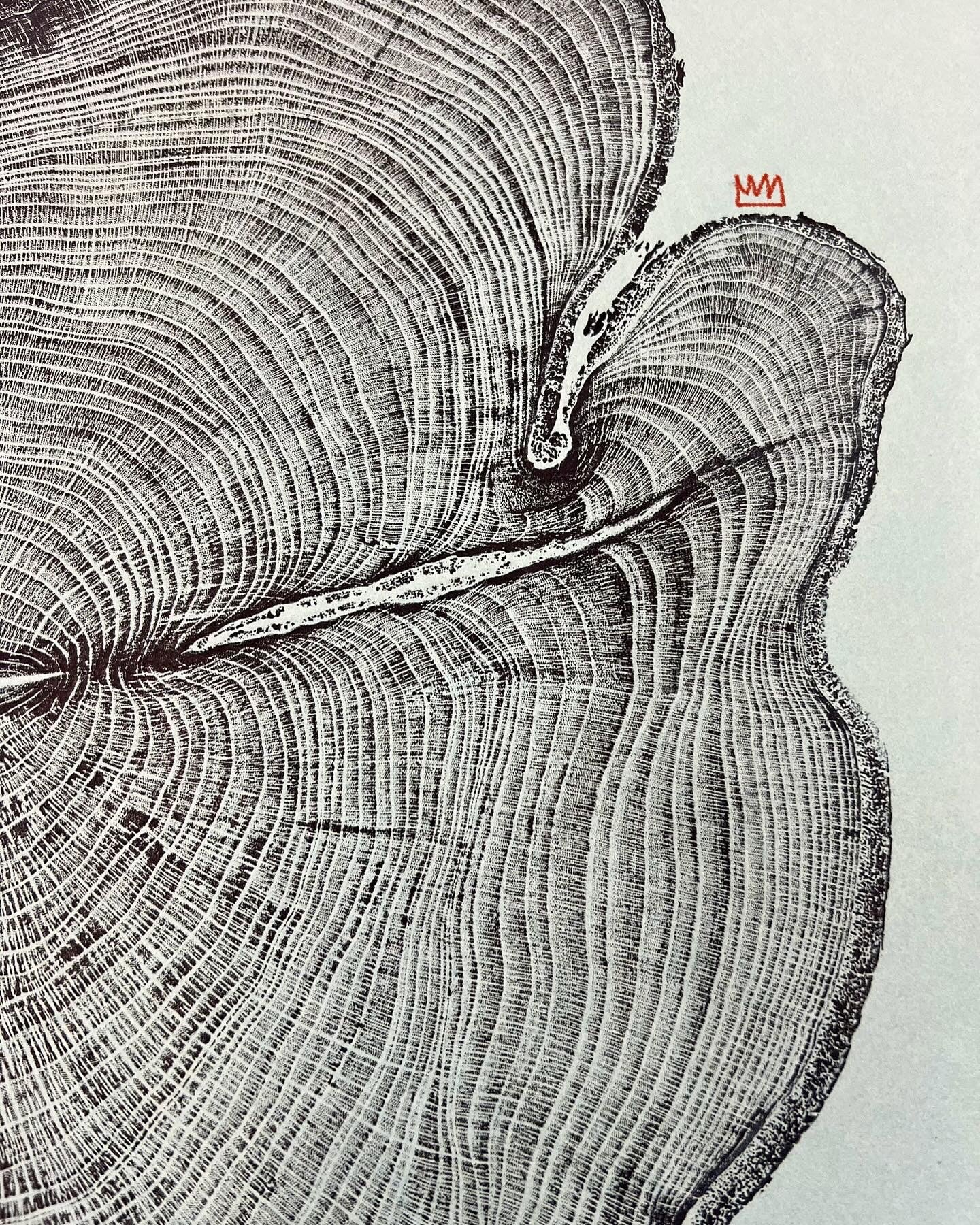 Day 15 Hackberry