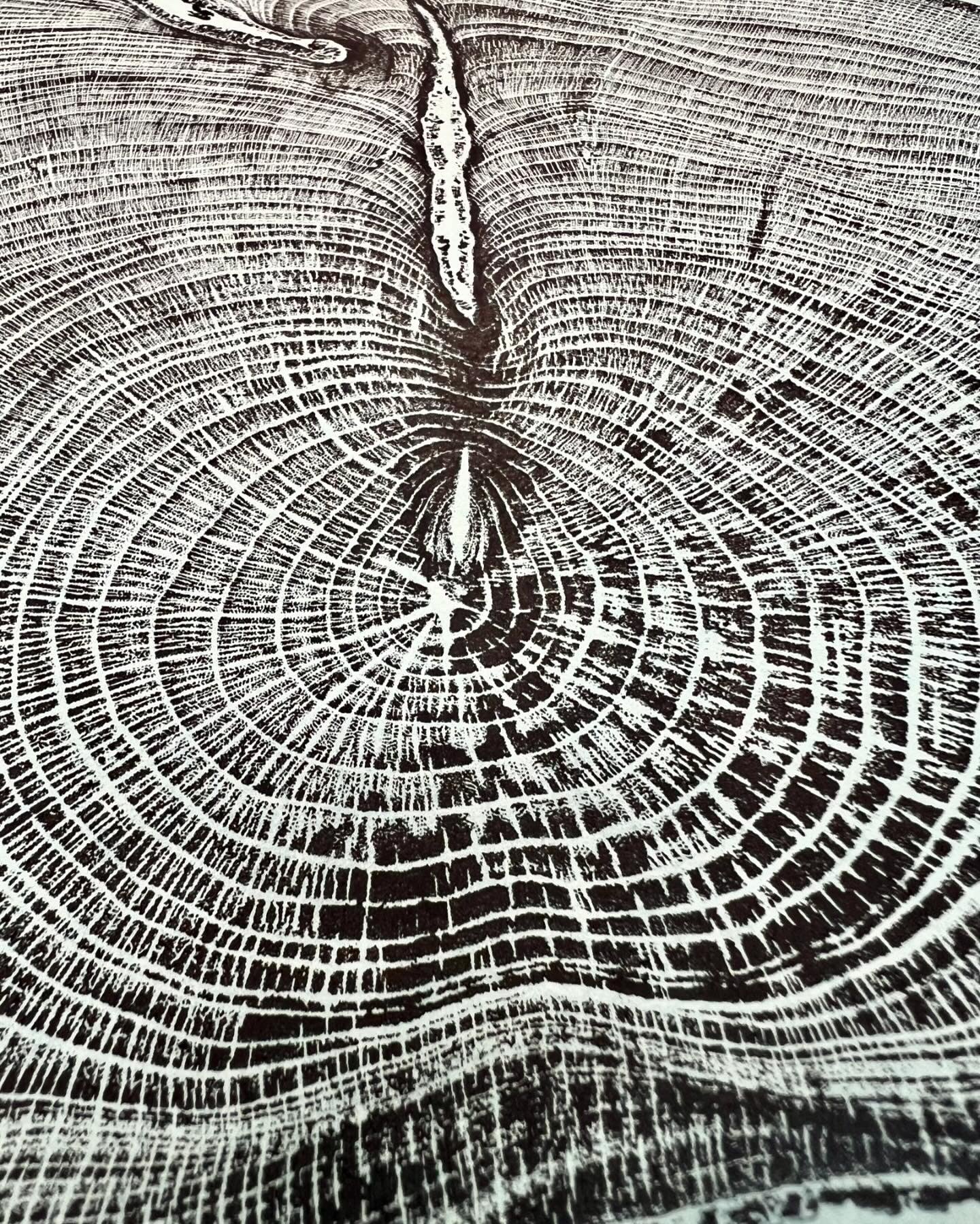 Day 15 Hackberry