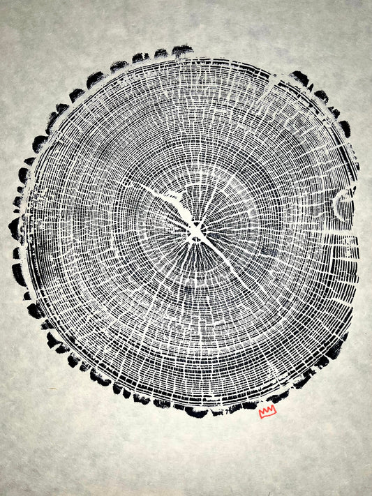 Spalted Ash Print