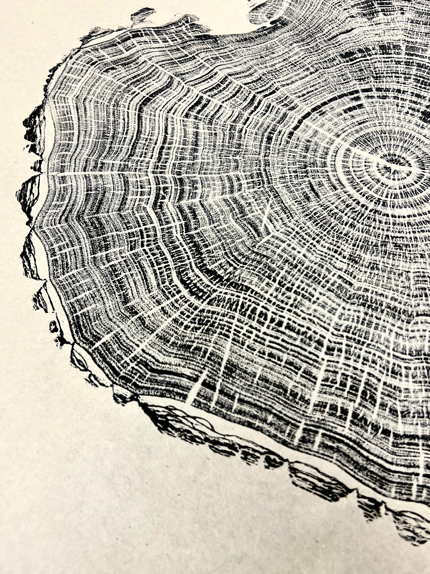 Butternut Relief Print